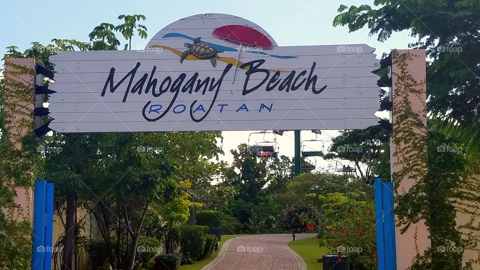 Mahogany Beach Roatan