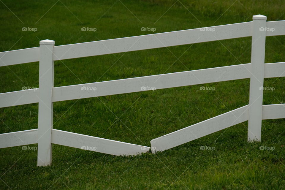 The Fence
Interesting shape