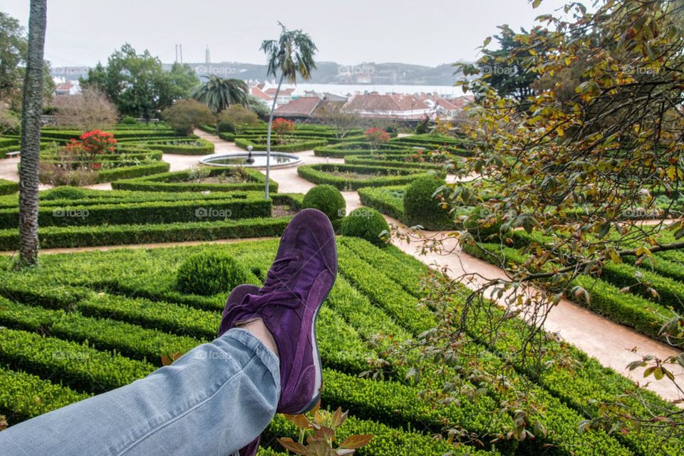 Purple shoes in the botanical garden 