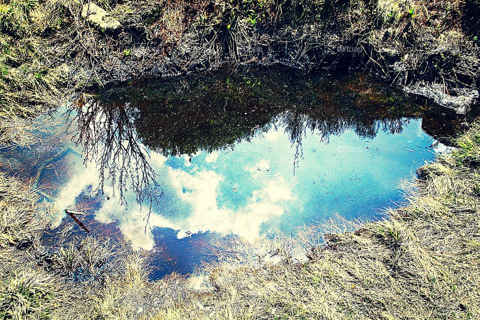 reflection. framed sky