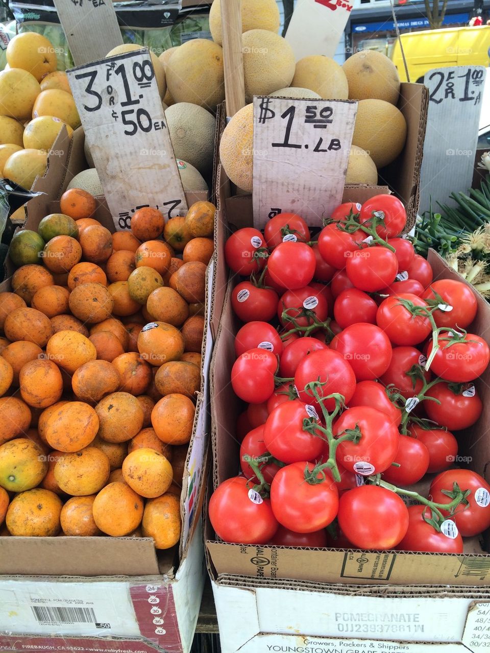 Oranges and tomatoes 