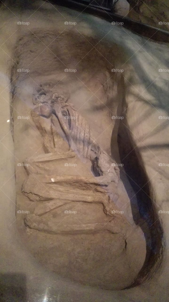 skeleton  made of  stones