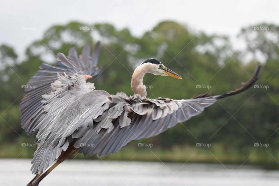 Taking off