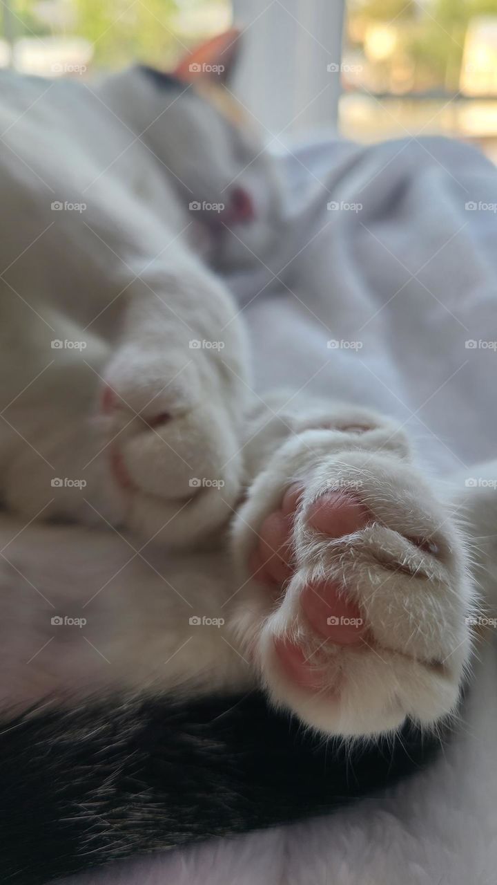 sleeping and toe beans