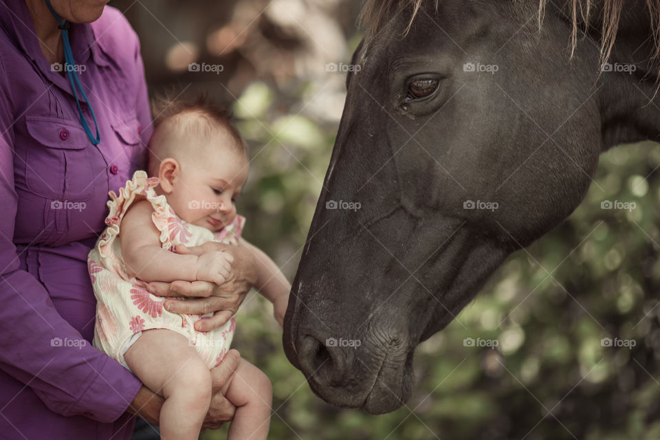 A baby and a horse 