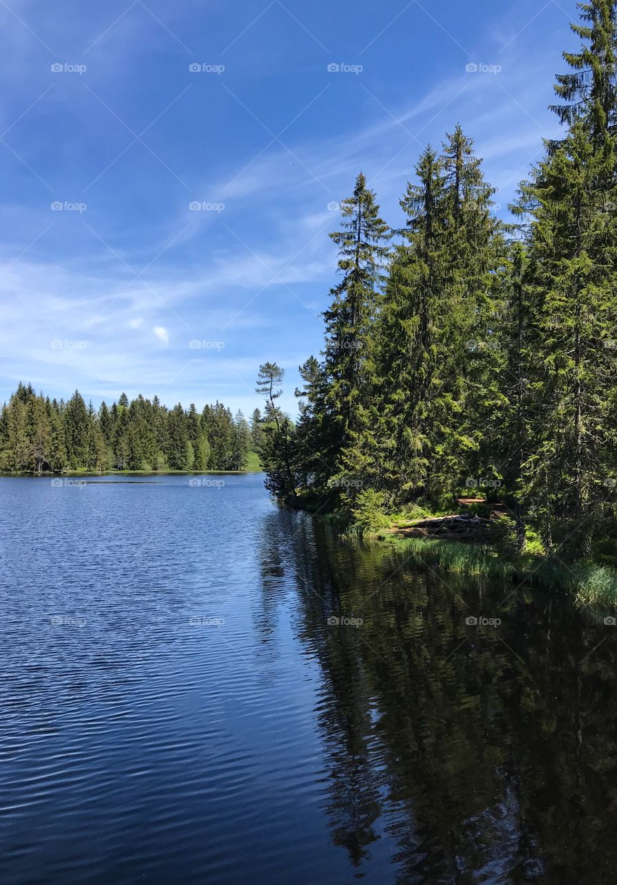 Étang de la Gruère