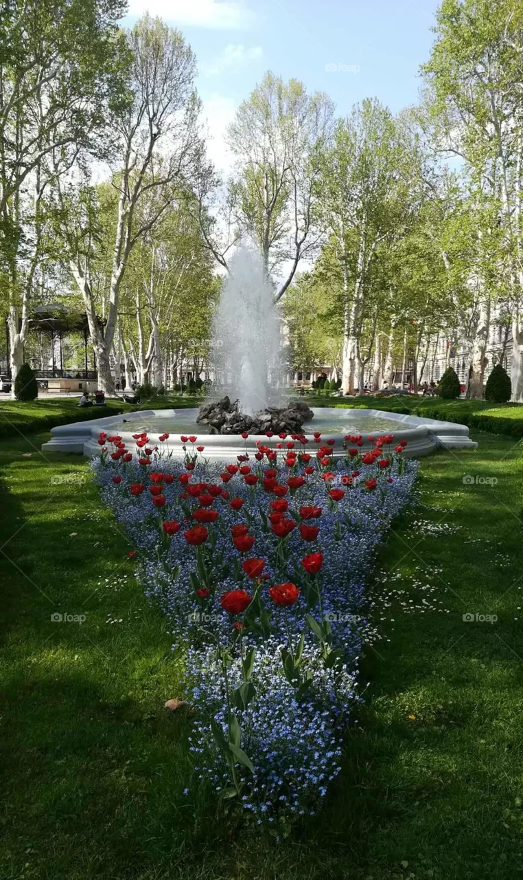 fountain