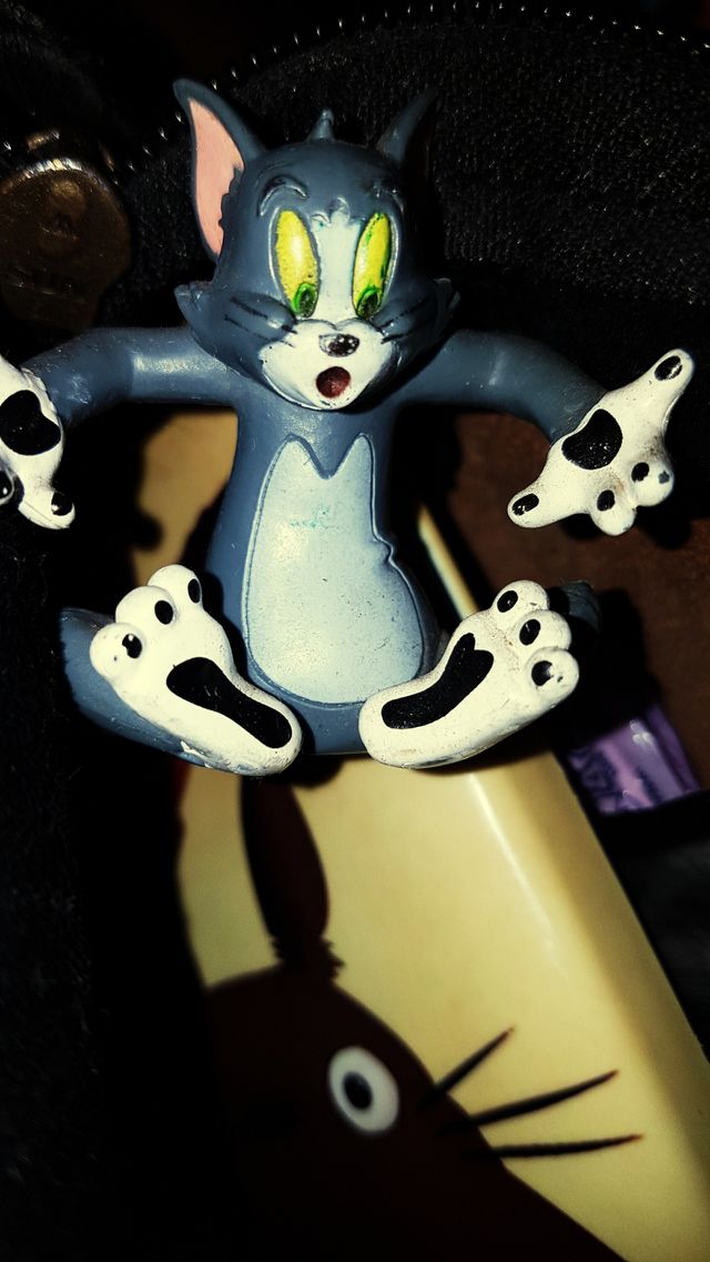 cat Tommy
