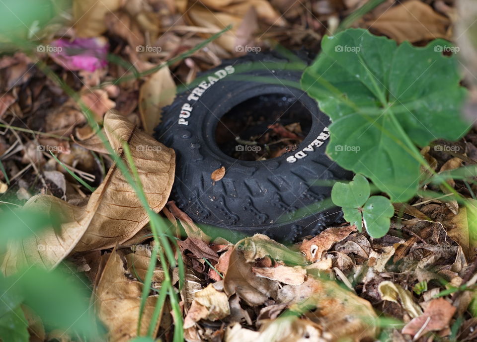 Toy car tyre in a ga