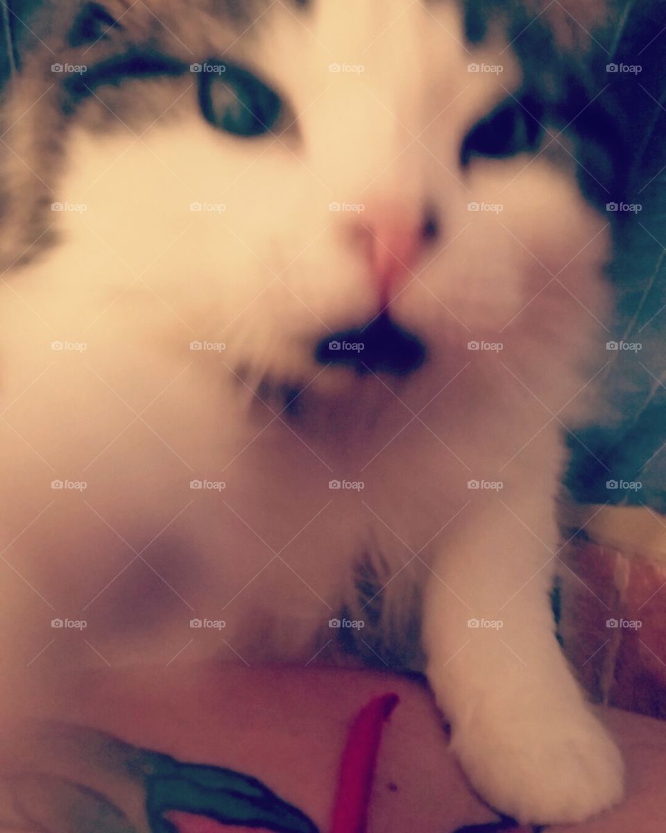 "Get back here! I'm not done with you!"