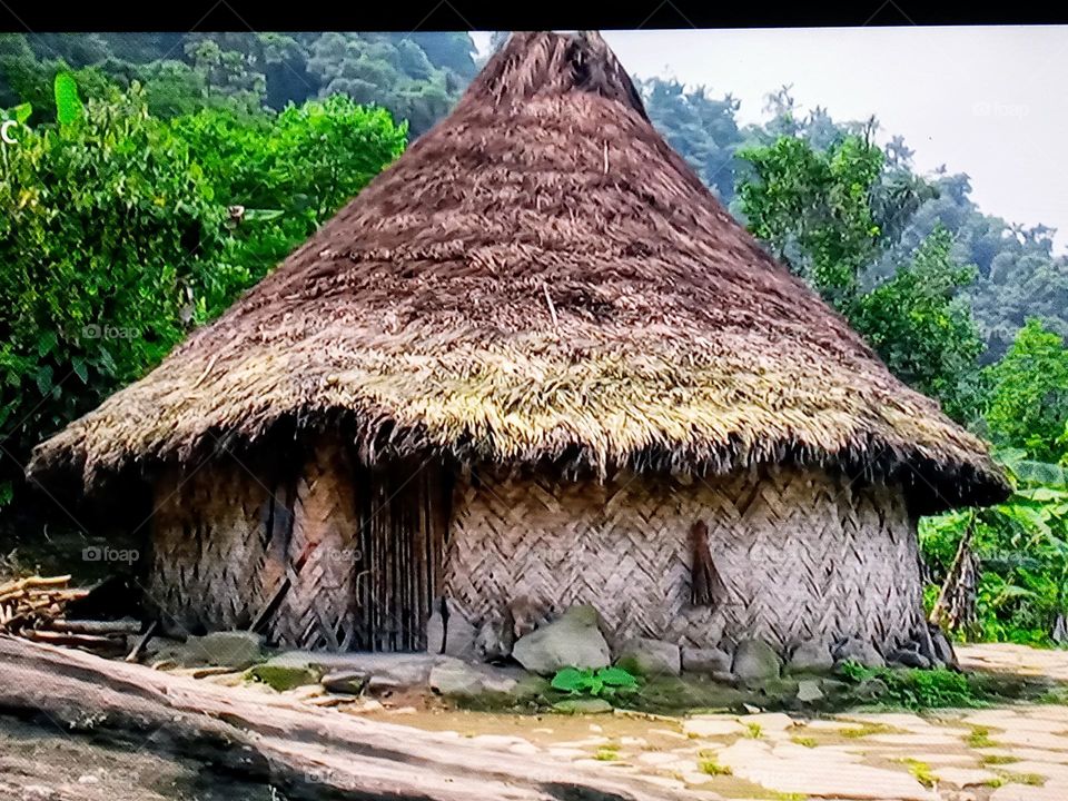 beautiful day in nature