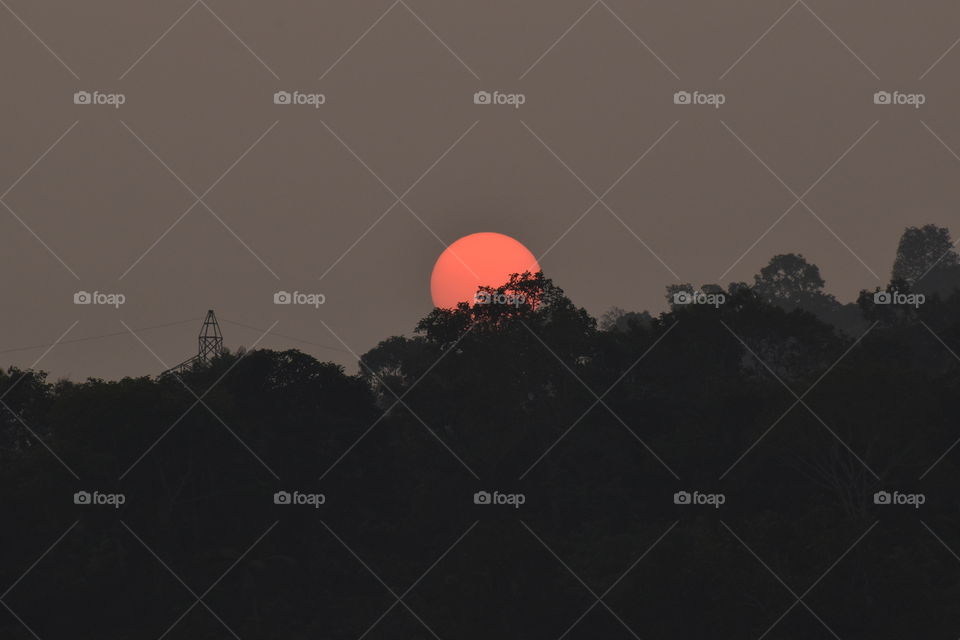 half circled sun during sunset behind the trees