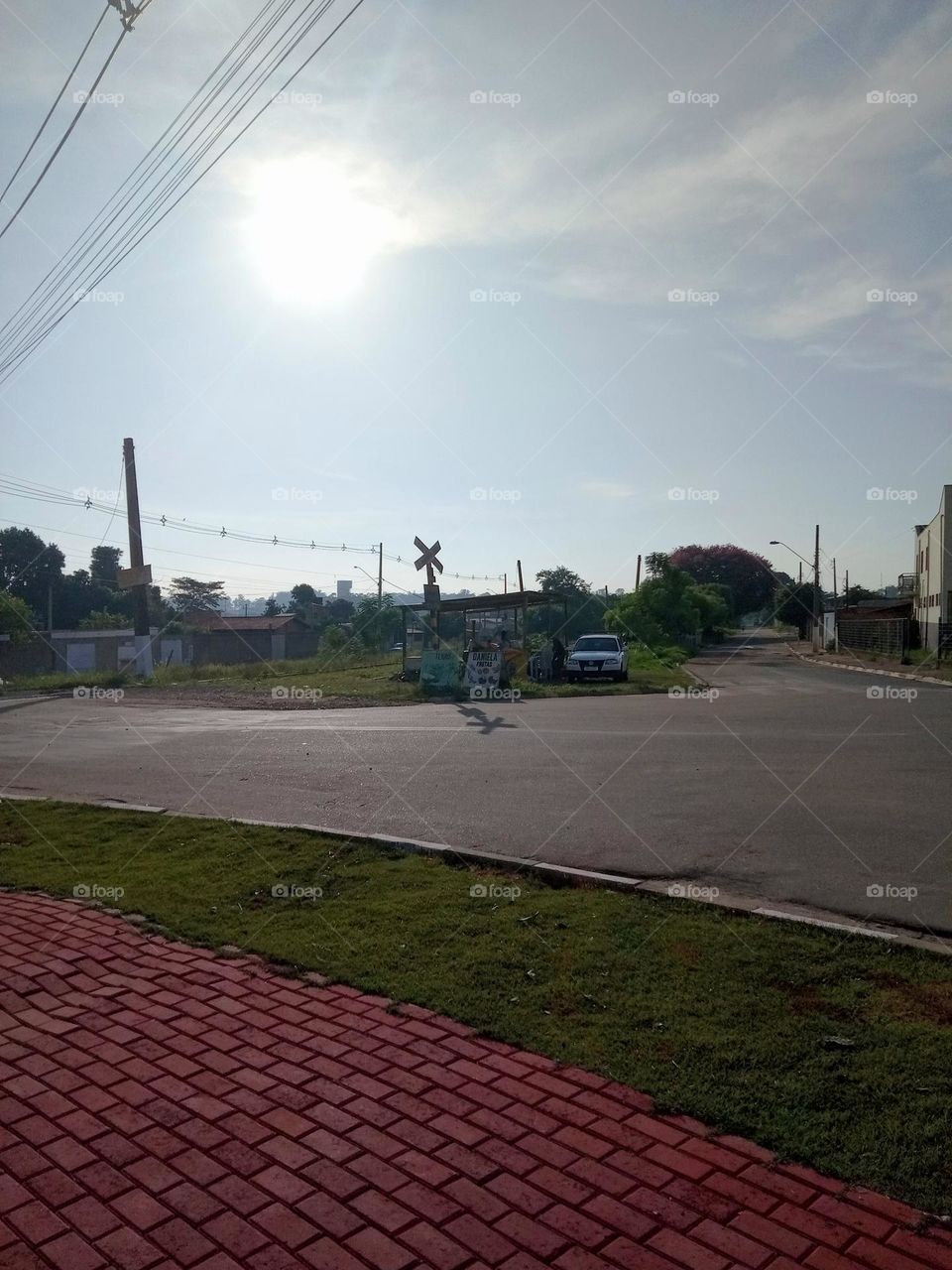 Editors'Choice Photo of the week Belíssima manhã de Sol