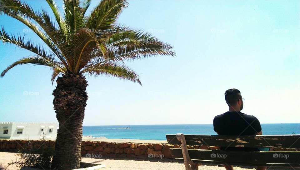 Tunisian Summer