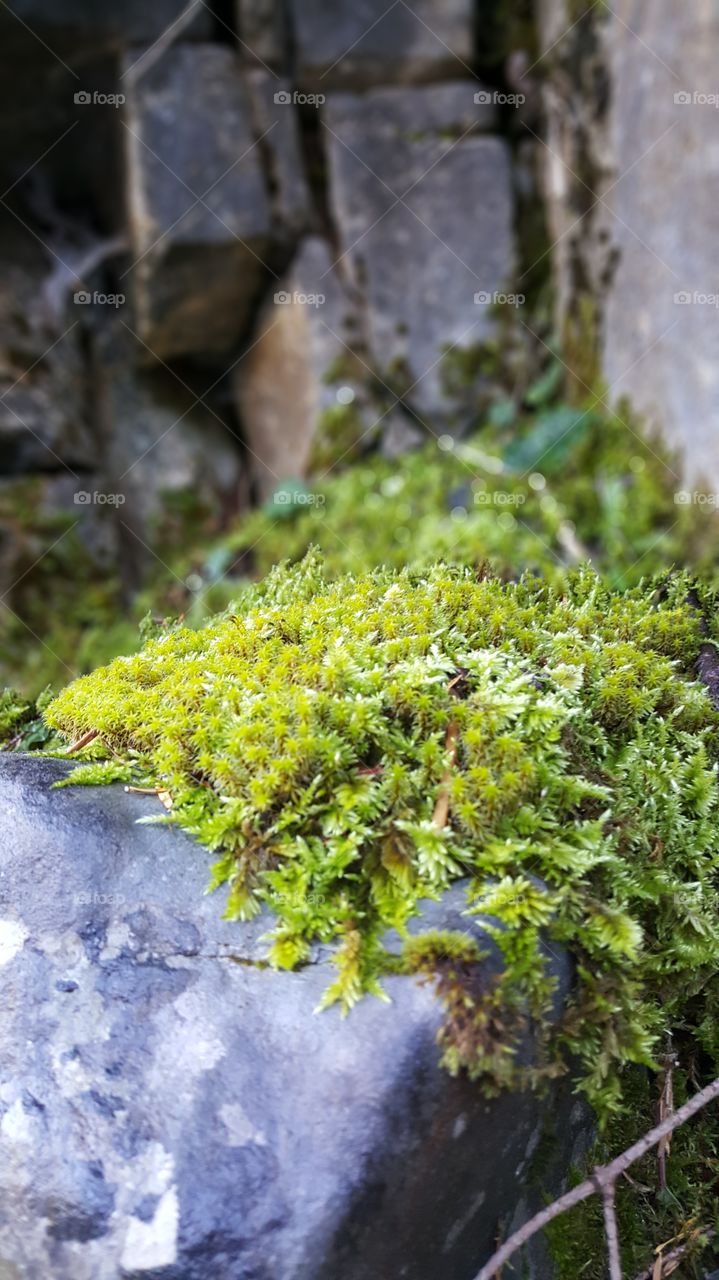 beautiful nature,  Greek mountains