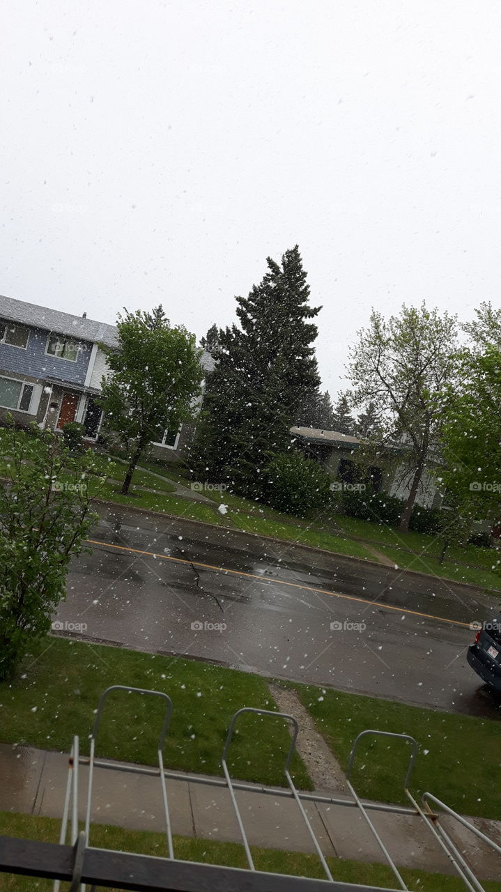 Snow in May