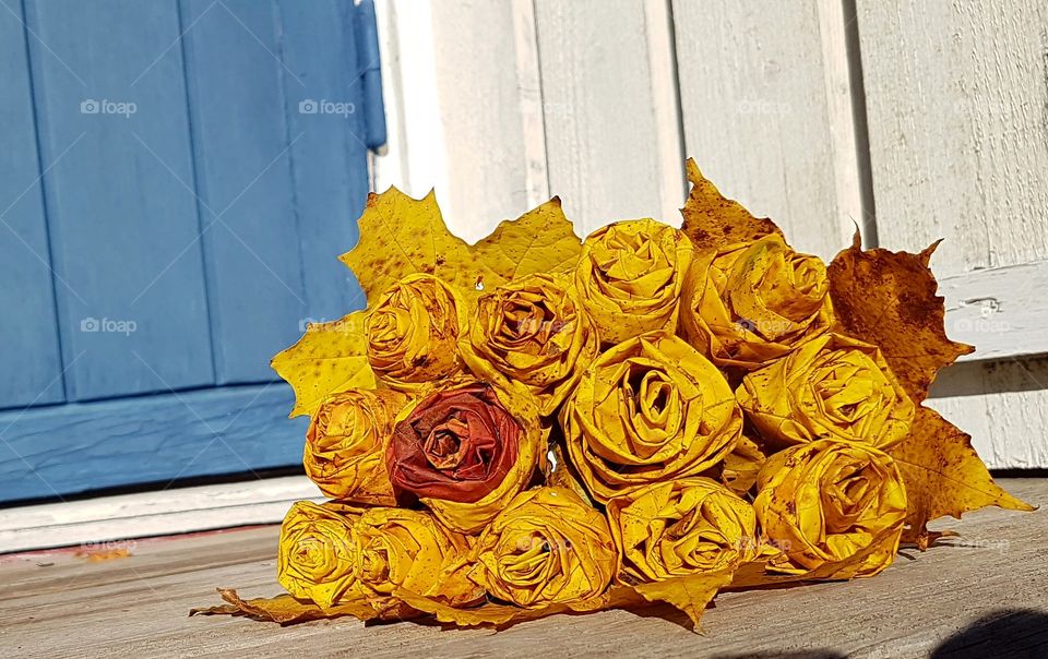 Roses made of maple leafs