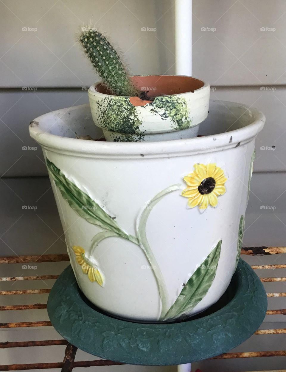 A cactus leans from its clay pot which is inside a larger colorfully decorated clay pot