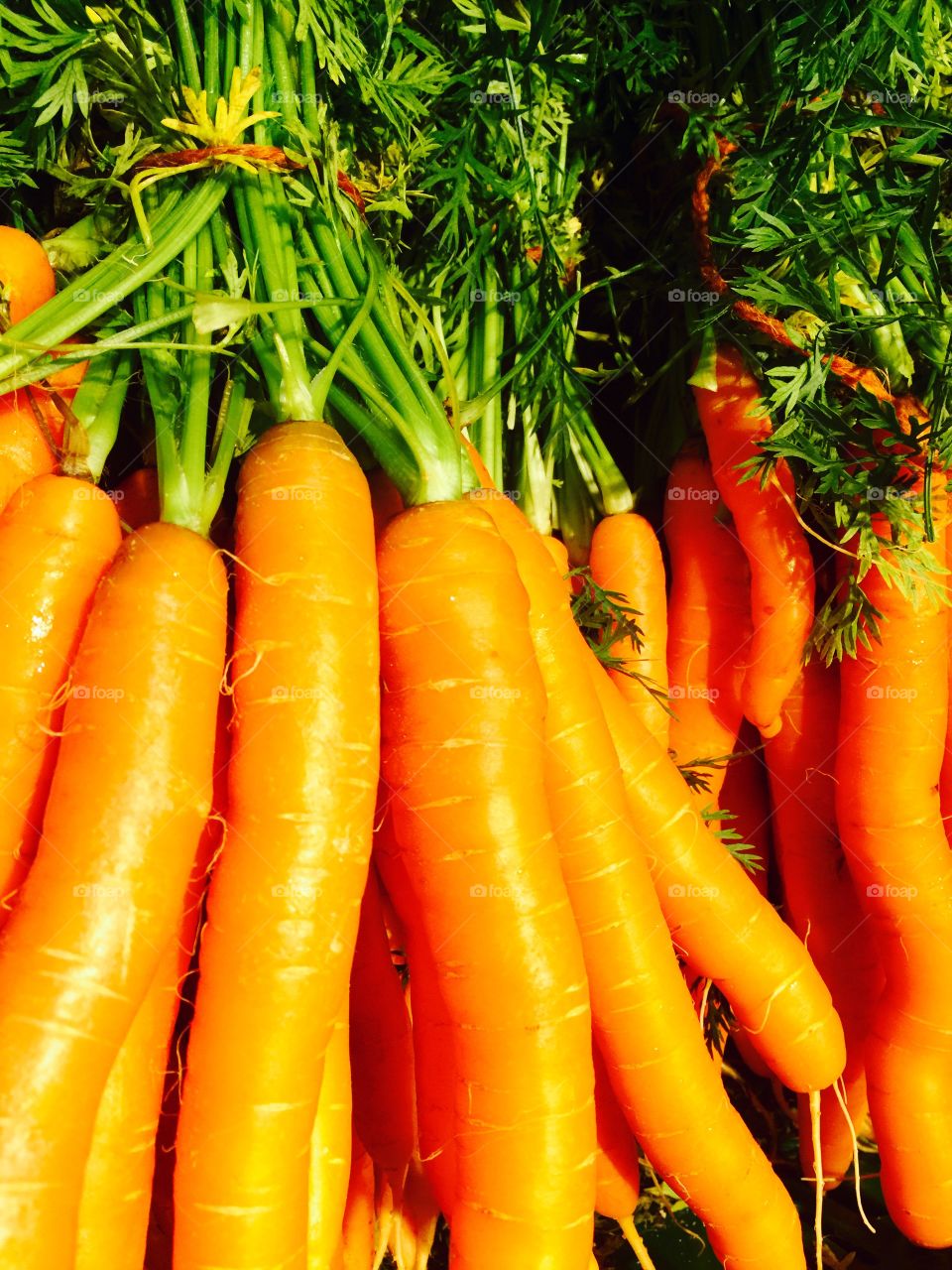 Carrots