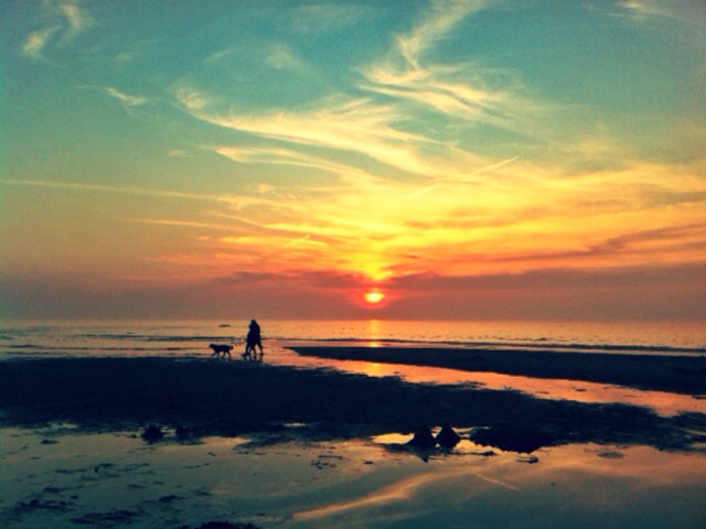 sunset