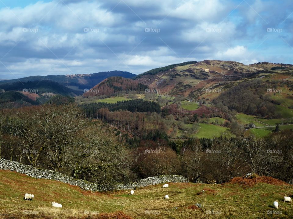 From The Precipice. A quick turn round The Precipice Walk, Dolgellau, Wales before heading home...
