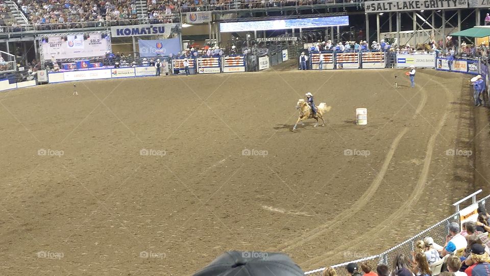 Fast Horse at Rodeo Barrell Racing