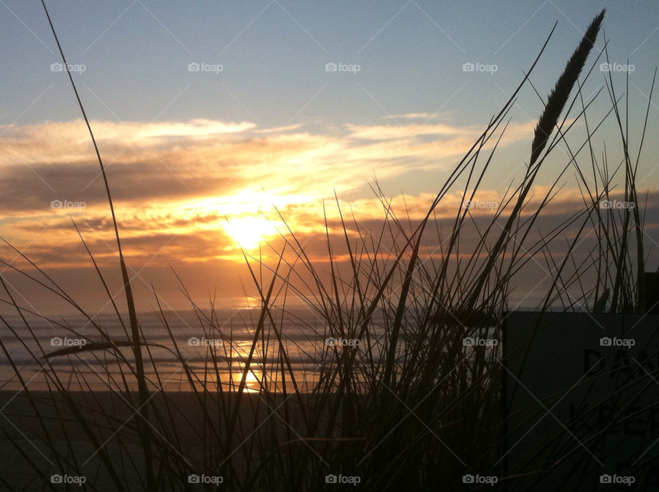 grass sunset water sunrise by surjake1