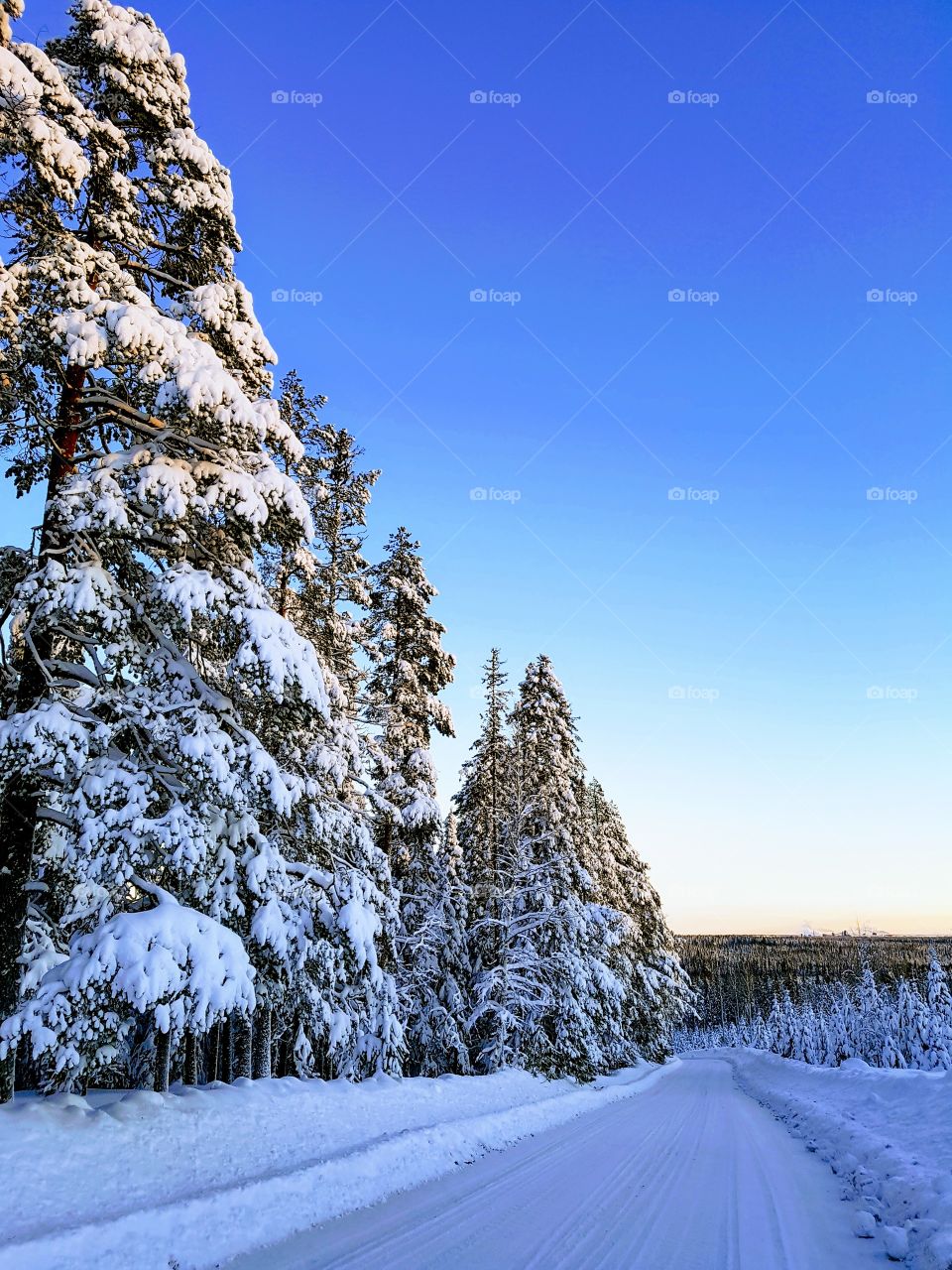 wiew from Alterbergets nature reserve