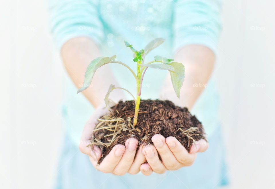 A woman in light blue against a bright white background outside is holding in her hands a small green plant or tree sapling