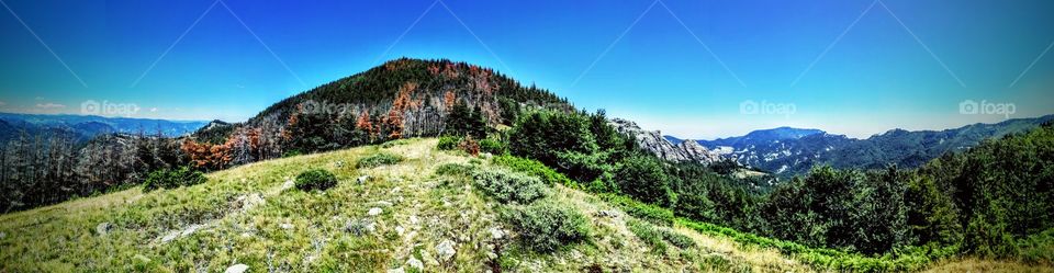 mountain bature Bulgaria