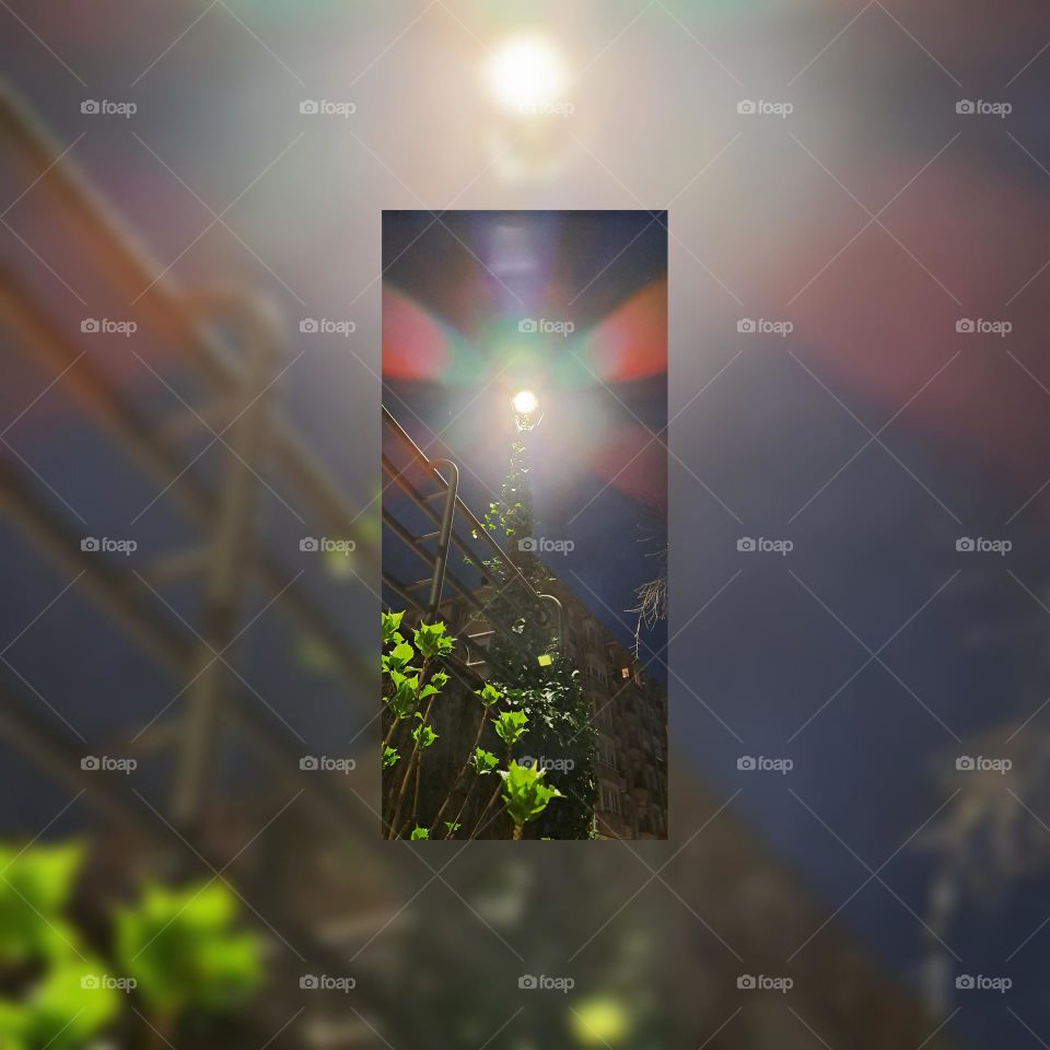 the lamppost that wanted to be a lighthouse