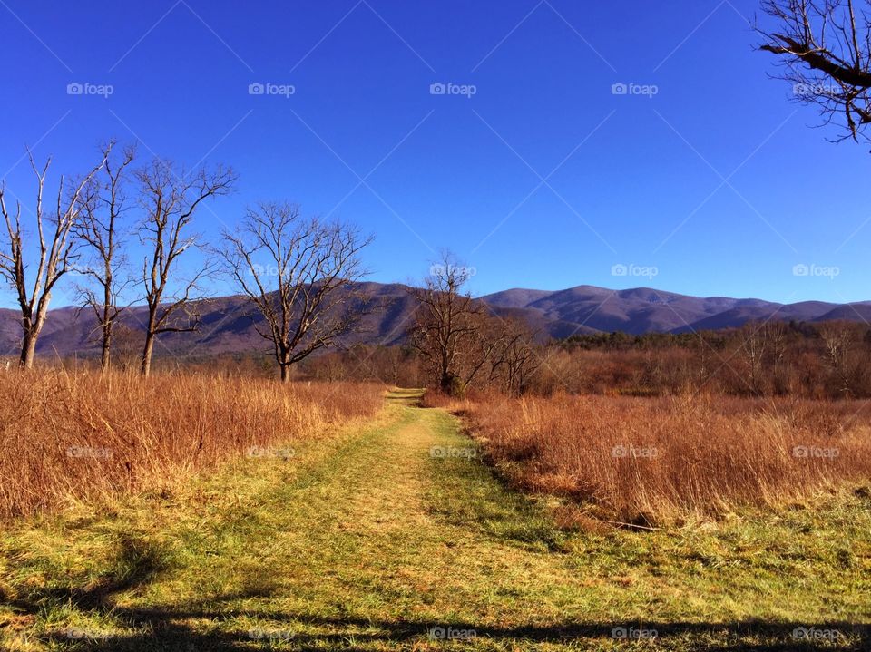 Cades Cove