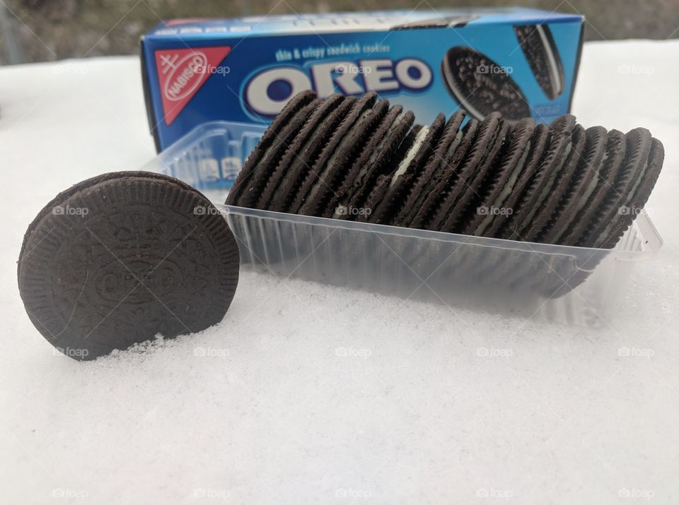 Oreo in winter snow