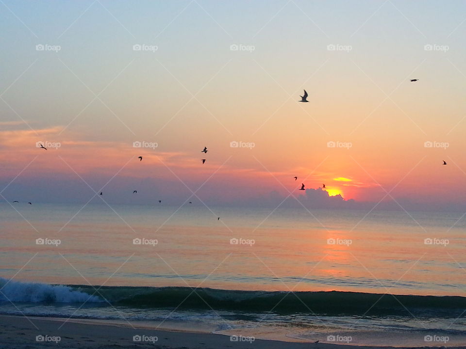 sunrise. Florida