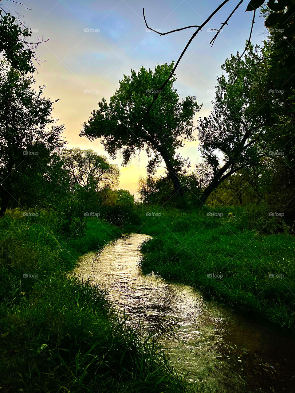 The remains of a Colorado sunset linger behind a stream reflecting the twilight.