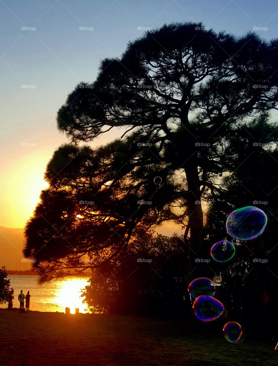 Sunset Bubbles