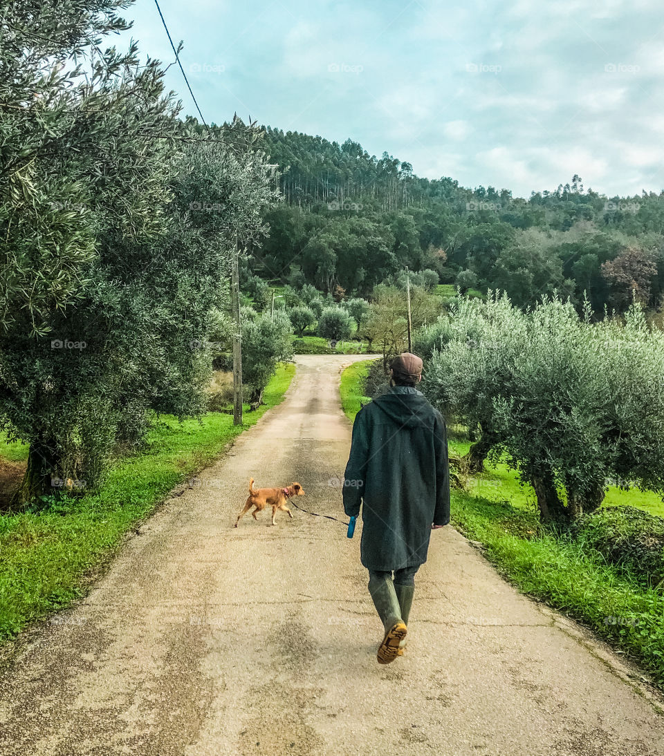 Walking the dog down a rural track, lined with olive trees on a cloudy winter morning