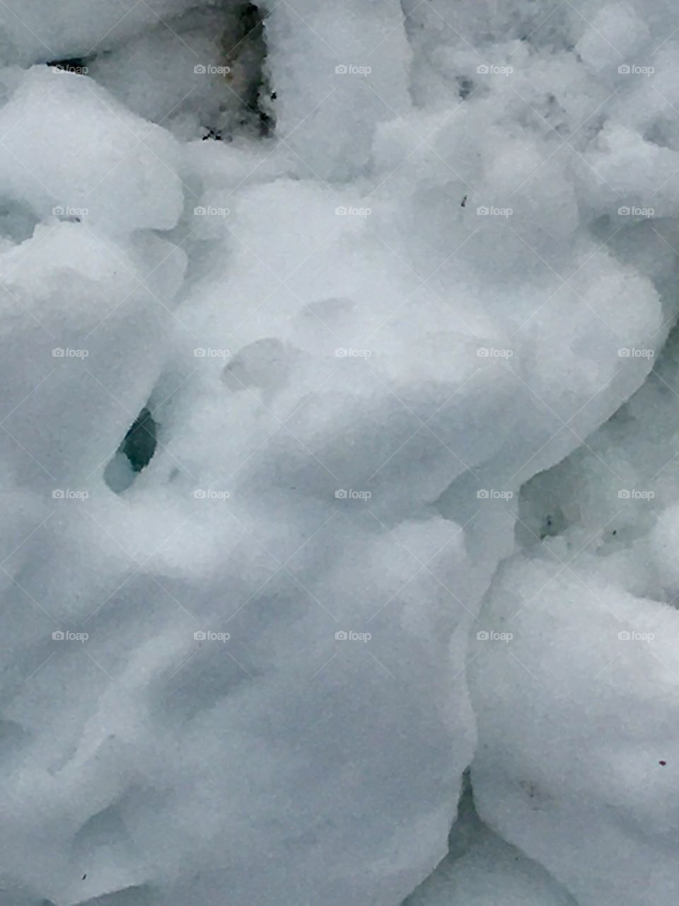 Lots of snow to play with in Maine 