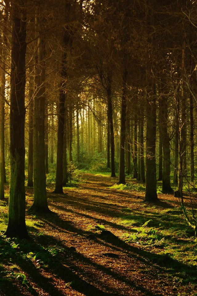 nature