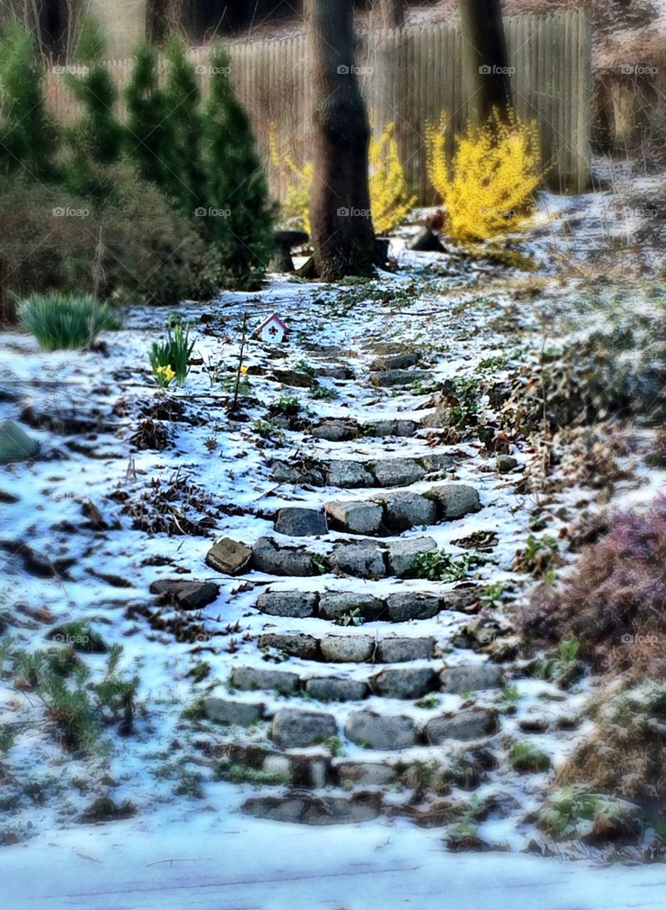 Snowy garden steps