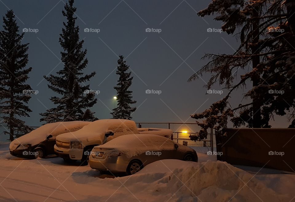 Trials & Tribulations