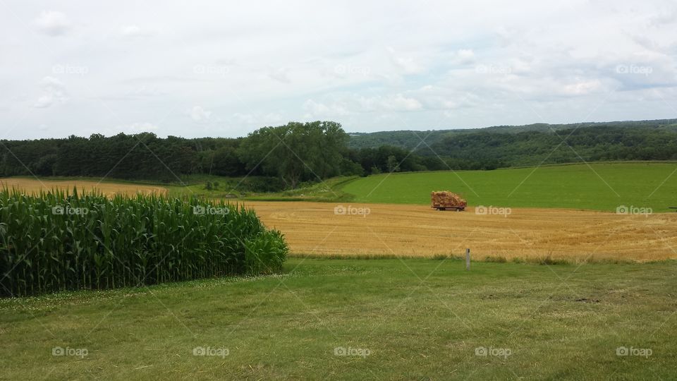 Wisconsin farm fields. hay harvest day