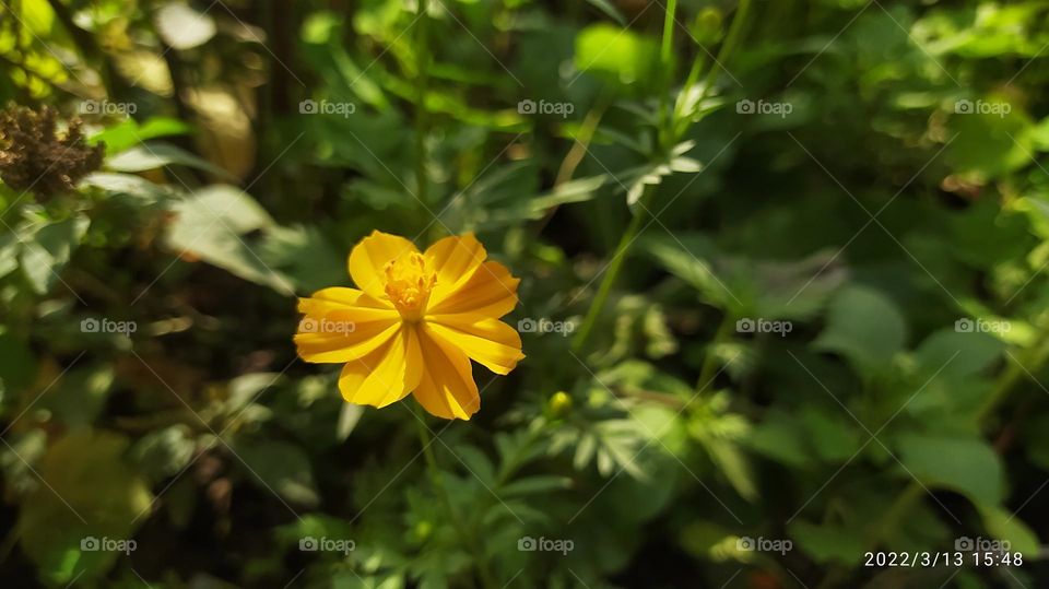 Mother Nature is the best artist in the whole universe