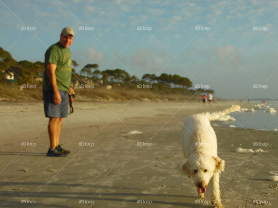 Beach, Water, Sea, Sand, Dog