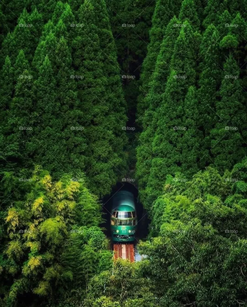 Amazing green