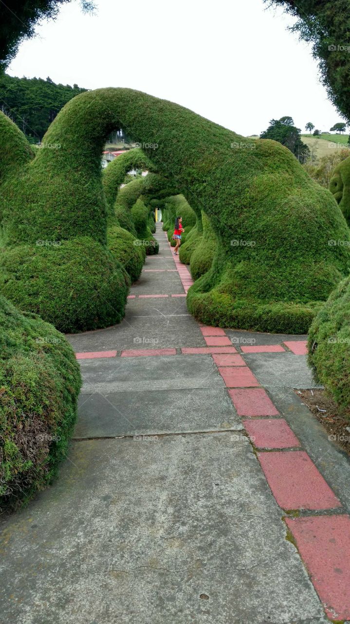 Topiary Park