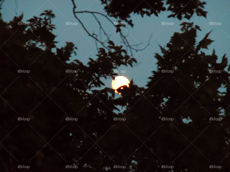 moonstruck. This is another picture of the same moon 🌚 rising. 👣 🚶 🏃 🔥 💨