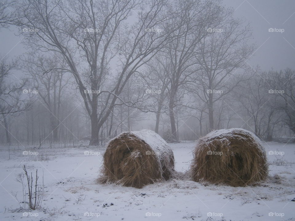 winter bales