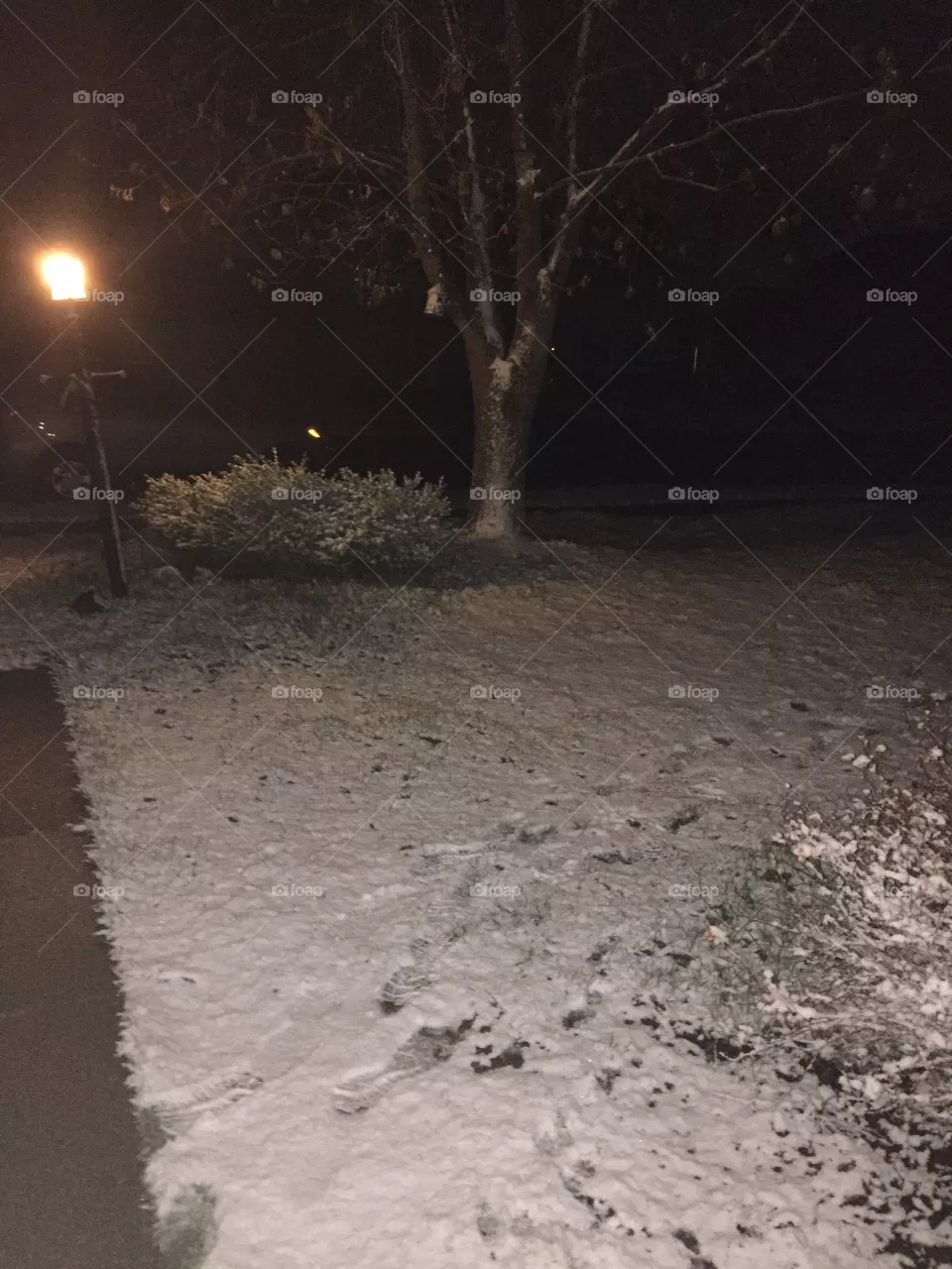 Snowy yard
