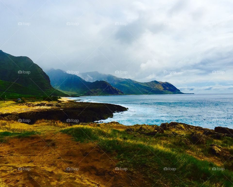 Scenic view of nature